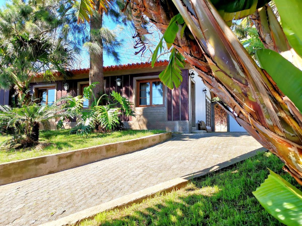 O Refúgio - Espaço natural, amplo e privado Angra do Heroísmo Exterior foto
